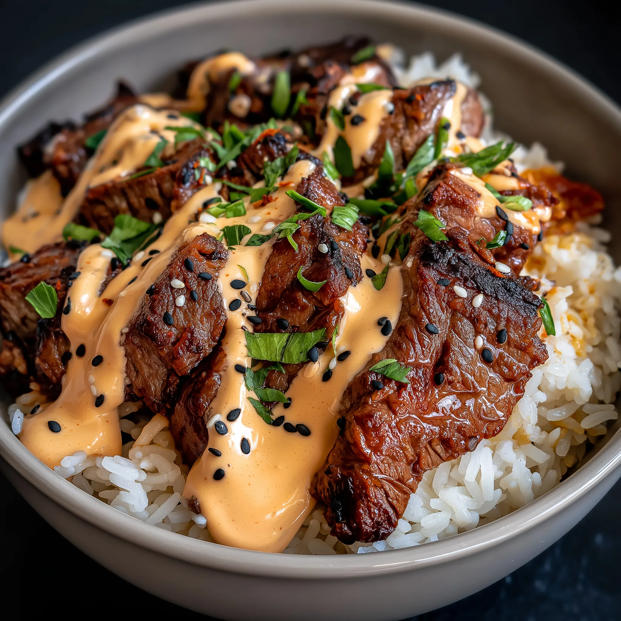 A bowl of meat and rice with a spicy cream sauce.